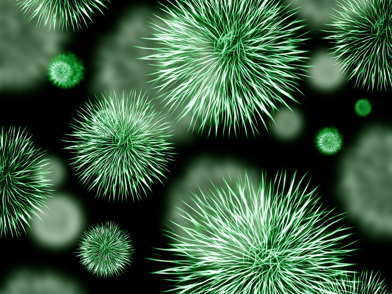 bacteria-virus
