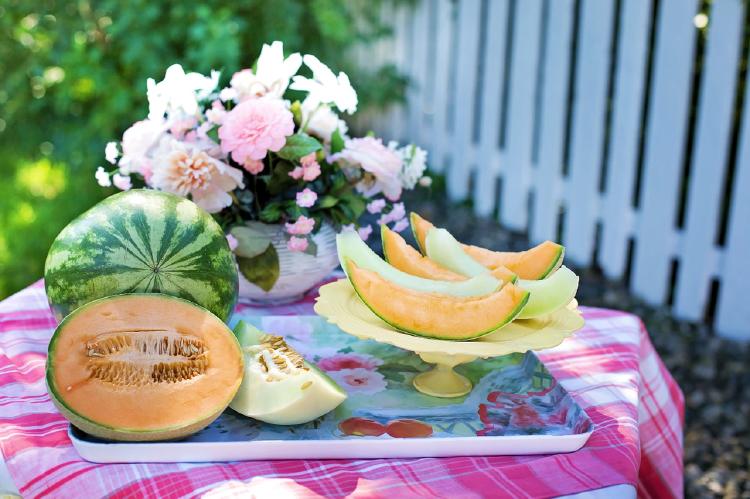 melon-fruta melon-fruta